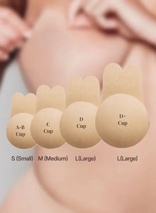 Four sizes shown on skin, A-B, C, D and D plus cup