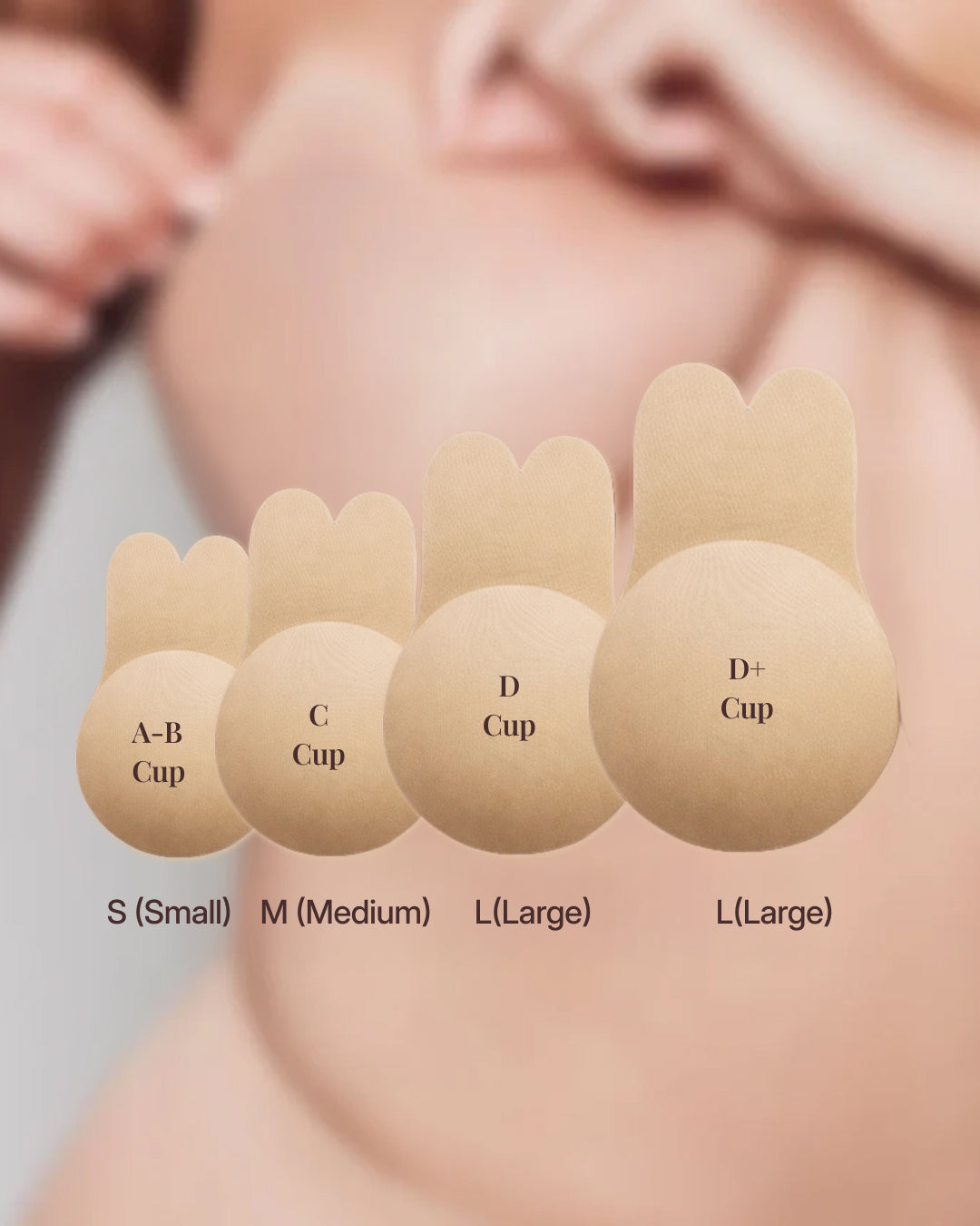 Four sizes shown on skin, A-B, C, D and D plus cup